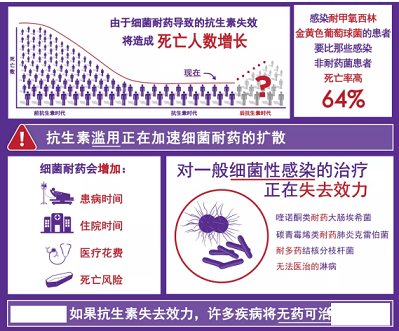 ���w��������Ƭ���a(ch��n)�S���¹����g�^(gu��)���������ܕ�(hu��)���ٳ���(j��)��(x��)���Ă���