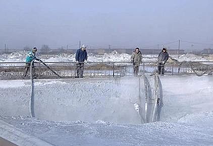 2021年椰殼活性炭生產(chǎn)廠家總投資1.19億元,鄂爾多斯市大路園區(qū)一個(gè)環(huán)保項(xiàng)目啟動(dòng)