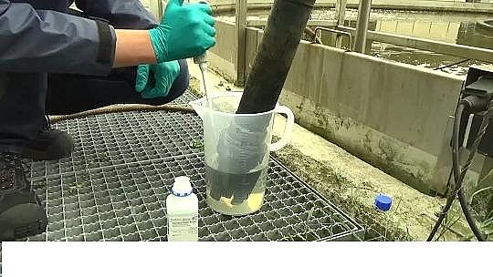 多功能蜂窩斜管填料生產(chǎn)廠家如何提升污水廠的自動(dòng)控制系統(tǒng)作用