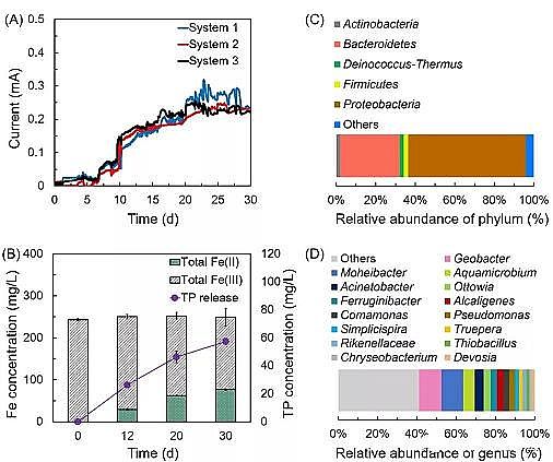 新式水處理藥劑復合碳源生產廠家電促進生物還原技術釋放并回收鐵鹽絮凝沉淀中磷的最新研究進展