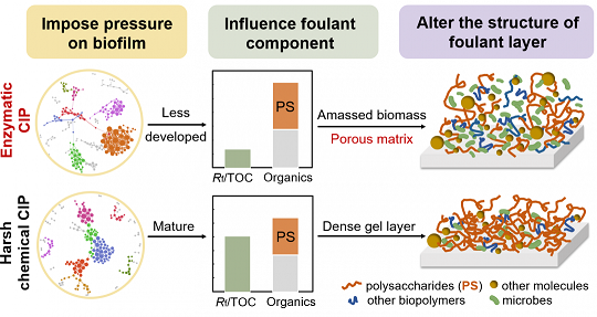 ���xľ�~ʯ�V�����a(ch��n)�S��øϴ�ɾ����ɶ������l(f��)�ķ��B͸Ĥ����(f��)��Ⱦ���}