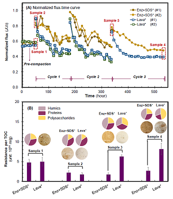 ���xľ�~ʯ�V�����a(ch��n)�S��øϴ�ɾ����ɶ������l(f��)�ķ��B͸Ĥ����(f��)��Ⱦ���}
