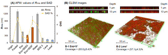 ���xľ�~ʯ�V�����a(ch��n)�S��øϴ�ɾ����ɶ������l(f��)�ķ��B͸Ĥ����(f��)��Ⱦ���}