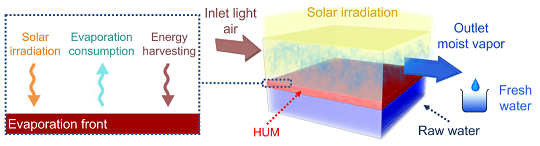 多功能泡沫濾珠濾料廠家水凝膠基高效太陽驅(qū)動膜蒸餾凈水