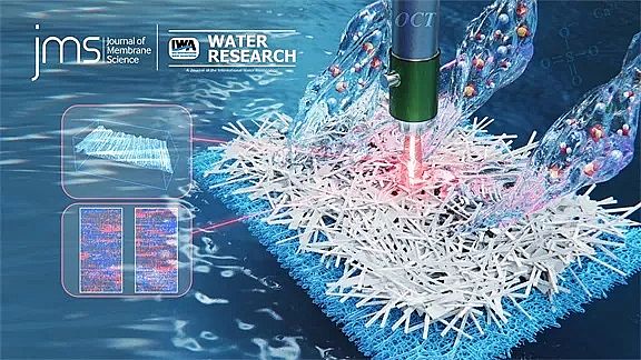 ��ʽϡ����ɰ�V�ϏS�Ұl(f��)��Ĥ���sϵ���о��ɹ�