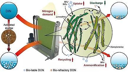 高品質(zhì)生物流化床填料MBBR廠家藻生物膜減少微生物源溶解性有機(jī)氮的排放