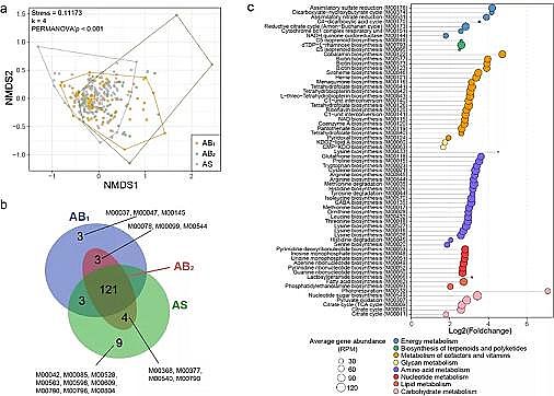 高品質(zhì)生物流化床填料MBBR廠家藻生物膜減少微生物源溶解性有機(jī)氮的排放