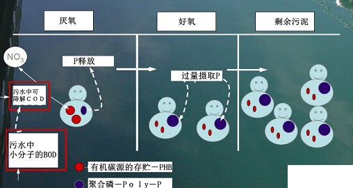 高質(zhì)量改性纖維球濾料廠家A2O工藝管理初步研討