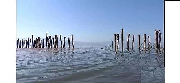 精選13X分子篩生產(chǎn)廠家環(huán)保“假專家”,開(kāi)“假藥方”,扮演“科研掮客”角色