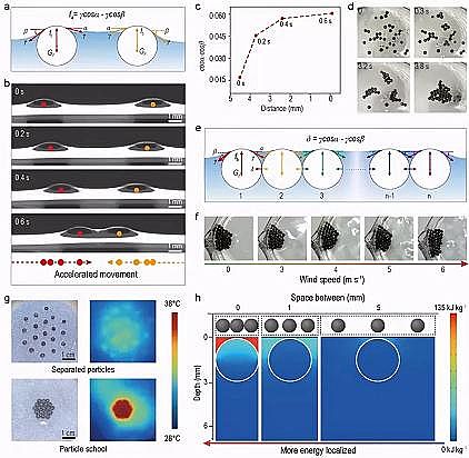 精選煤質顆粒活性炭生產廠家受魚群效應啟發的太陽能水鹽分離器件