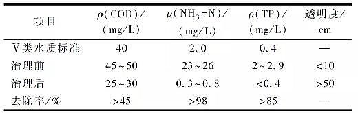 精制硫酸鋁廠家黑臭水體治理中的工程應(yīng)用:超微氣泡富氧+生物活化技術(shù)
