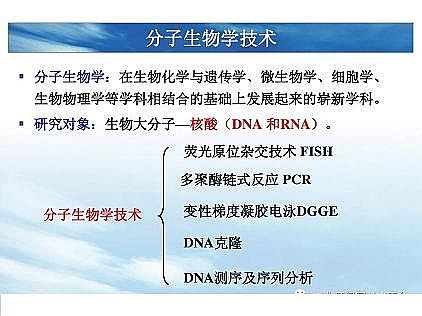 ���|�������͚��������a�S��һ���f͸������������ˇ