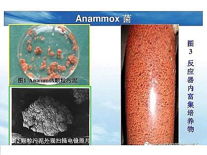 ���|�������͚��������a�S��һ���f͸������������ˇ