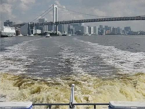 上等煤質顆粒活性炭生產廠家東京奧運會在糞水中比賽, 鐵人三項選手集體嘔吐“慘劇”