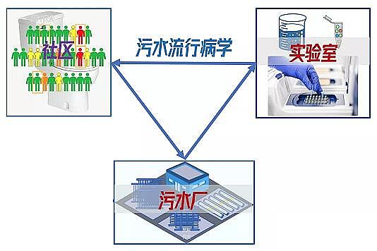 高品質聚合氯化鐵生產廠家【美國】36種檢測污水中新冠病毒方法:檢測污水可以跟蹤新冠病毒的傳播趨勢