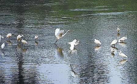 精選立體彈性填料廠家12.01億立方米!北京再生水年使用總量連續(xù)三年全國(guó)第一