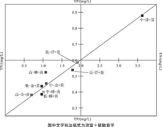 精選纖維球濾料廠家不同類型水生植物組合去除氮磷效果探索