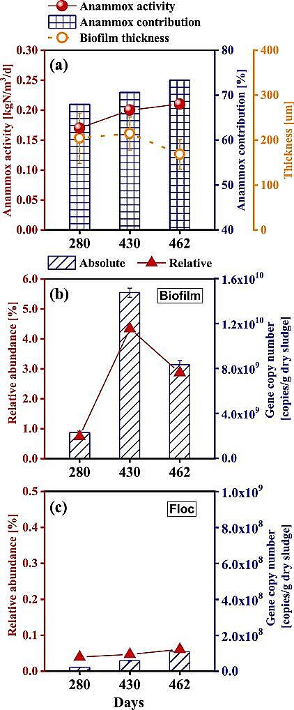 質量認證聚合氯化鋁PAC生產廠家基于實際污水A2/O工藝中懸浮污泥生物量減量實現缺氧生物膜中厭氧氨氧化菌的高度富集