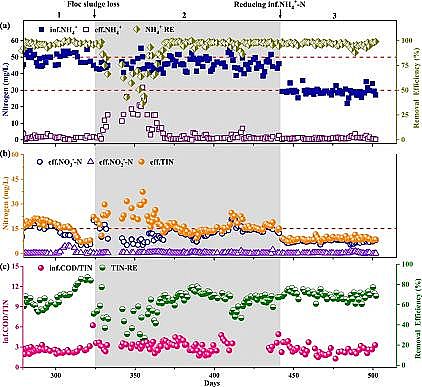 質量認證聚合氯化鋁PAC生產廠家基于實際污水A2/O工藝中懸浮污泥生物量減量實現缺氧生物膜中厭氧氨氧化菌的高度富集