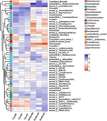 質量認證聚合氯化鋁PAC生產廠家基于實際污水A2/O工藝中懸浮污泥生物量減量實現缺氧生物膜中厭氧氨氧化菌的高度富集