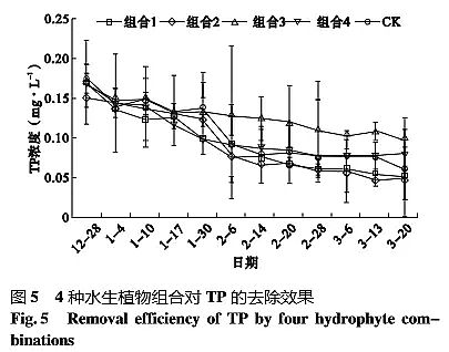 ��Ч�Z��ʯ�V�����a�S���ķN����ˮ��ֲ��M�ό����I�B��ˮ�w�ă���Ч��