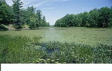 上好13X分子篩廠家污水處理可實現“養分中和”