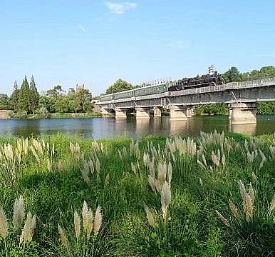 上等陰離子聚丙烯酰胺HPAM廠家濕生植物對富營養化水體修復研究