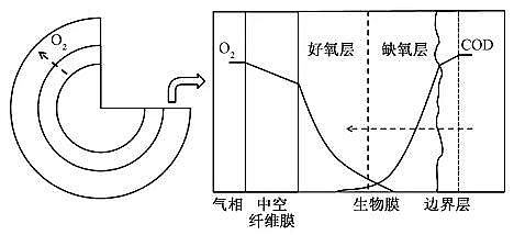 新款生物火山巖濾料廠家膜曝氣生物膜反應(yīng)器生物脫氮研究進(jìn)展