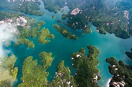 �ϵȷ��x�Ӿ۱�ϩ����NPAM�S�������h����˾�����¡����Ƿ��A������4�f����!�������}��ν��}?