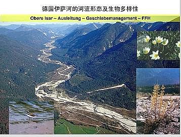 �Ϻ�ʯӢɰ�V�ϏS�ҵ�(gu��)�ӵ��Ľ���Ȼ�ޏ�(f��)��(sh��)�`