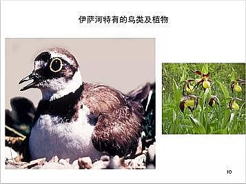 �Ϻ�ʯӢɰ�V�ϏS�ҵ�(gu��)�ӵ��Ľ���Ȼ�ޏ�(f��)��(sh��)�`