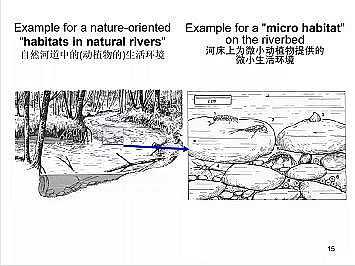 �Ϻ�ʯӢɰ�V�ϏS�ҵ�(gu��)�ӵ��Ľ���Ȼ�ޏ�(f��)��(sh��)�`