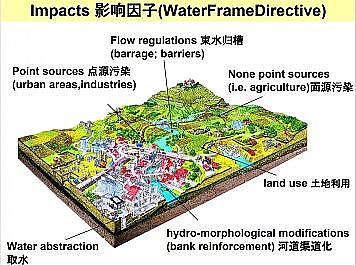 �Ϻ�ʯӢɰ�V�ϏS�ҵ�(gu��)�ӵ��Ľ���Ȼ�ޏ�(f��)��(sh��)�`