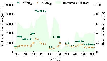 ���|̼Դ�S�����������ٟ��S�B�rҺ����������Ó��Ч�ܼ�΢����C���о�