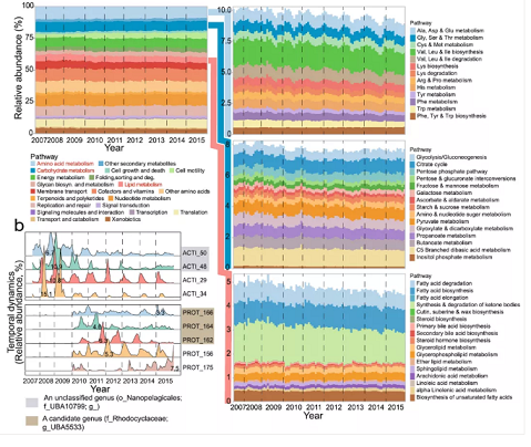 上等堿式氯化鋁生產廠家香港污水廠9年跟蹤發現:萬變的菌,不變的出水