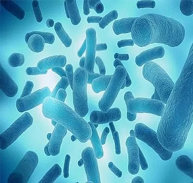 上好立體網狀填料廠家科普 | 關于超純水你不知道的那些事...