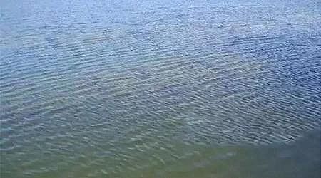 �ϵ���ˮñ���a�S�Ҹ�؛ | ˮ�|��ô���?