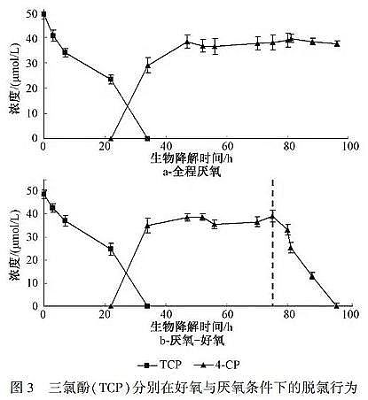 �������w�����������a�S���y���⹤�I�Uˮ�ĸ�Ч̎�����g�c��Փ�о�