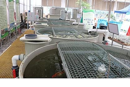 �ϵ���s�����ϏS�ҹ��S��ѭ�hˮ�Bֳ�b�似�g