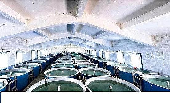 �������ʯ�V�ϏS�ҹ��S��ѭ�hˮ�Bֳ���g��B