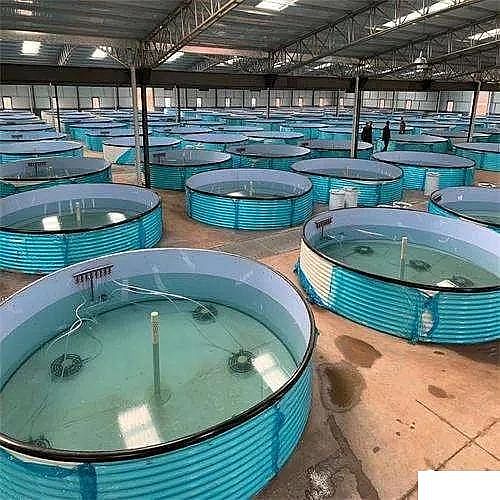 �������ʯ�V�ϏS�ҹ��S��ѭ�hˮ�Bֳ���g��B