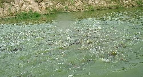 ȫ���Z��ʯ�V�ϏS���Bֳβˮ���팢�д����!�����ŷŘ˜ʌ��С������ơ�