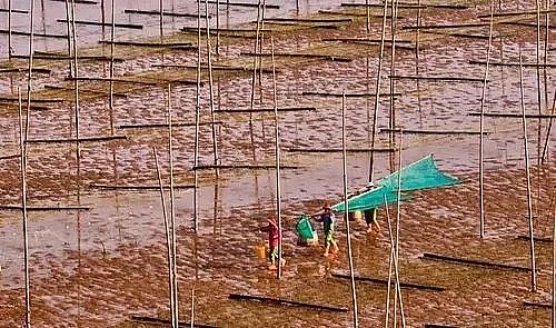 ȫ���Z��ʯ�V�ϏS���Bֳβˮ���팢�д����!�����ŷŘ˜ʌ��С������ơ�