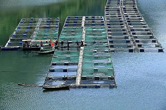 ȫ���Z��ʯ�V�ϏS���Bֳβˮ���팢�д����!�����ŷŘ˜ʌ��С������ơ�