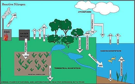 �����������ɽ�r�V�����a(ch��n)�S���@�N���w����Ч��(y��ng)�Ƕ�����̼��300�����sһֱ������