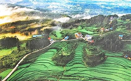 2022��Ҭ������̿���a�S������µ��@��Ȫˮ�������Ă�����?