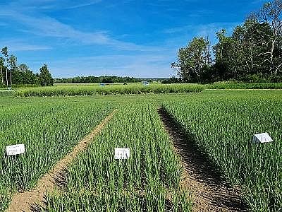 2022�������c̼Դ���a�S�һ��Տ���ˮ�з��x��������Һ����Ȼ���@ô����;!