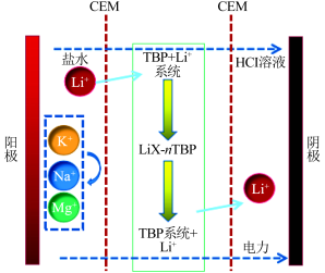 2022���ܛ�����ϏS�Ҹ��}���I(y��)�Uˮ�YԴ�������I(l��ng)��늝B�����g(sh��)���о��Mչ