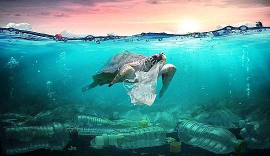 2022��Һ�渲�w��S���@�������������������׌���_����!