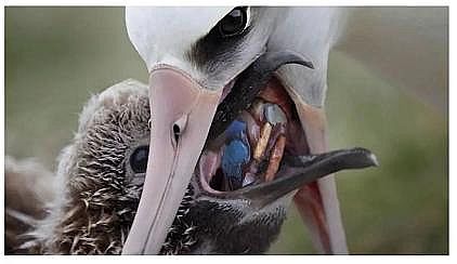 2022��Һ�渲�w��S���@�������������������׌���_����!